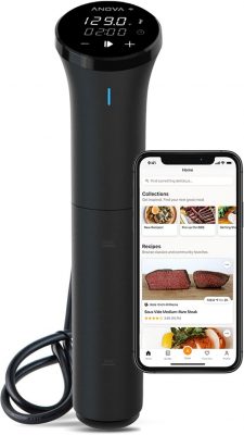 Anova Culinary Sous Vide Precision Cooker